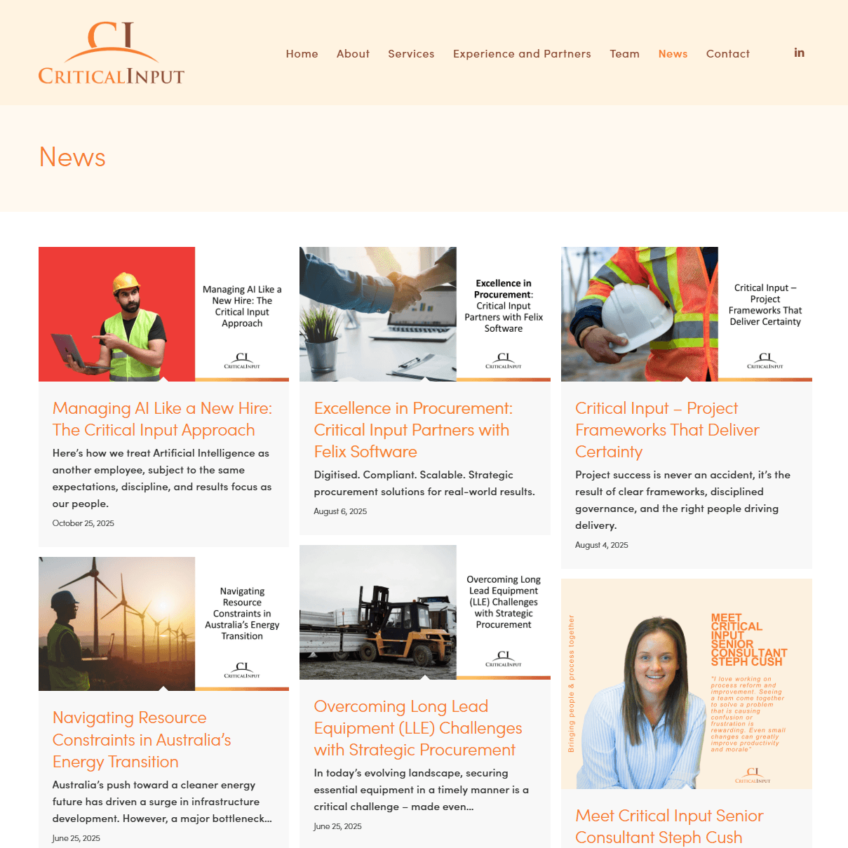 Critical Input project image 2